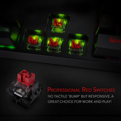 SURARA RGB LED